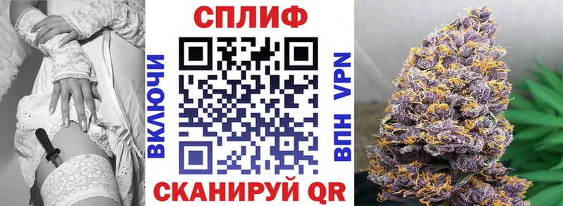 Купить закладки  Нерчинск  Бошки Шишки Ganja 